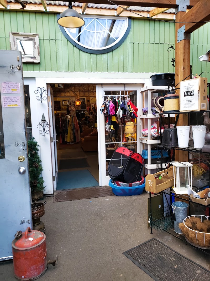 vintage market