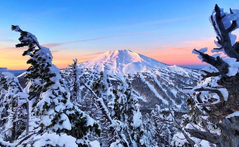 Mt Bachelor Property Management LLC