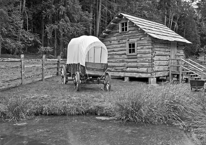 Happy Trails Estate Sales