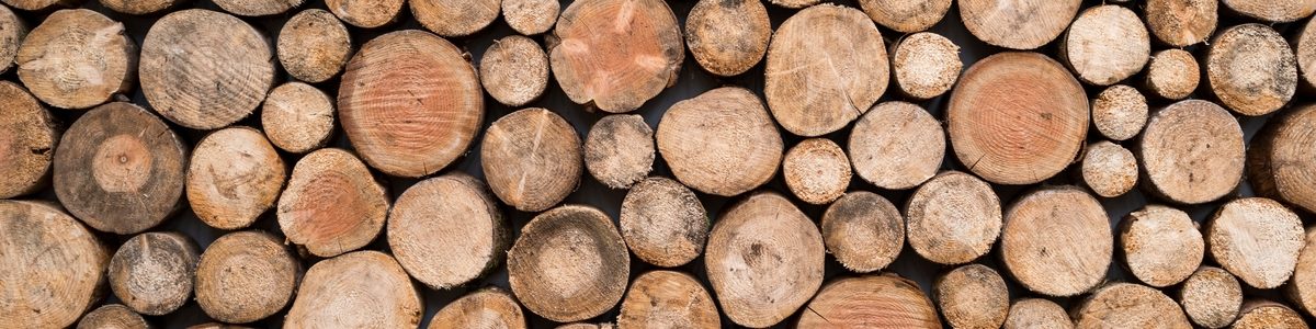 Wood log pattern background, close up design